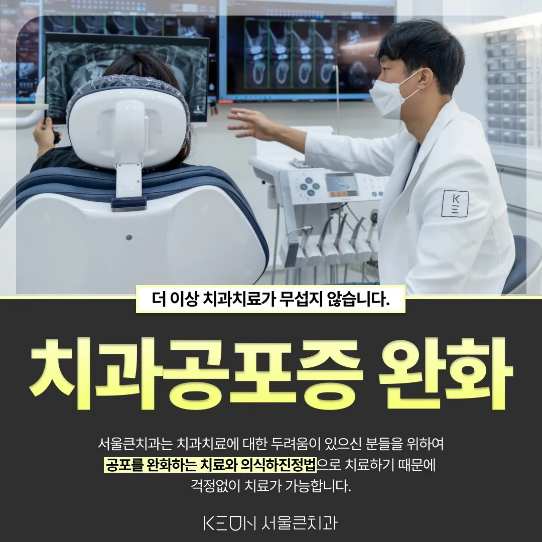 서울큰치과 진료실에서 의료진이 환자와 마주 앉아 치료 전 설명을 나누는 모습